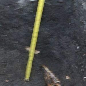 Meet your Posher, Cesar